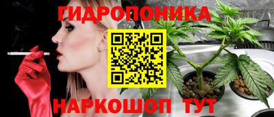 ECSTASY Новодвинск