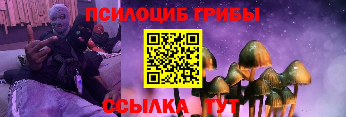Галлюциногенные грибы прущие грибы Северск